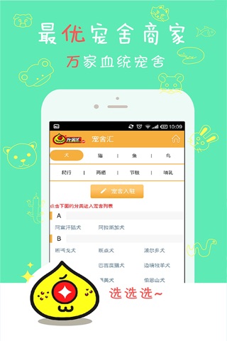 宠舍汇-买中国最好的血统宠物，全品种、资讯、娱乐、社交第一门户 screenshot 3
