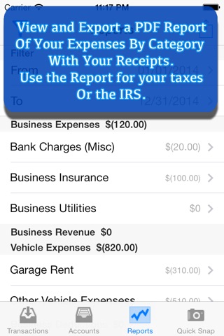 iAccountant screenshot 3