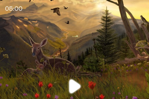 3D Illusions & Nature Sounds screenshot 4