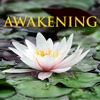 The Book of Awakening