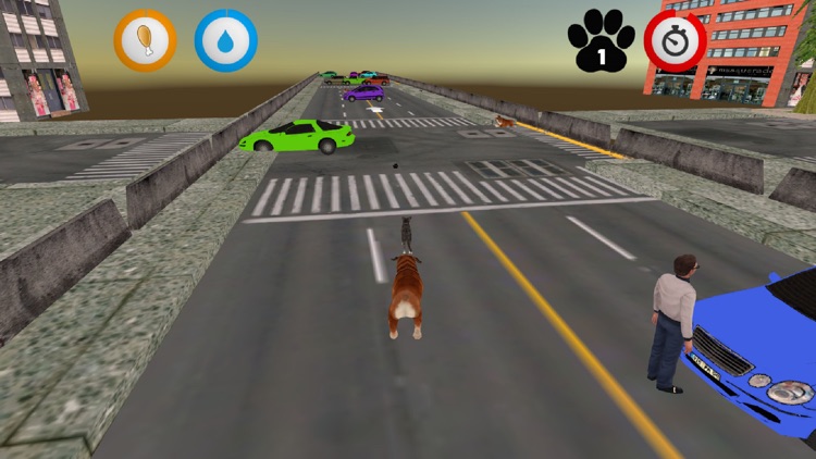 Real Cat Simulator screenshot-4