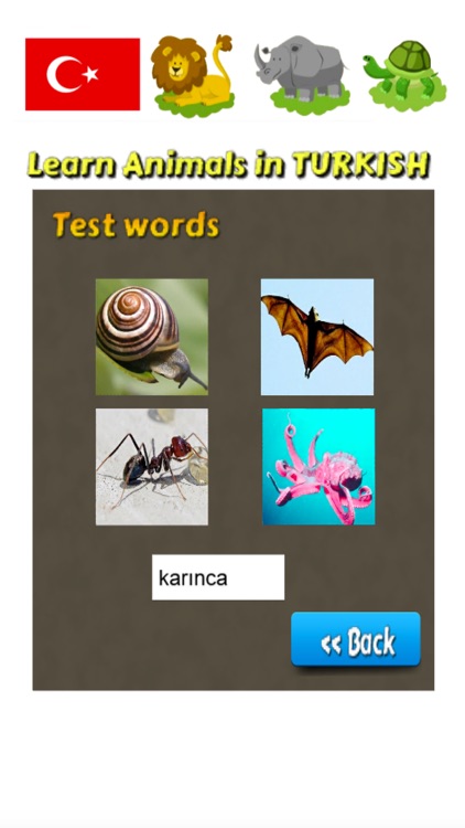 Learn Animals in Turkish Language