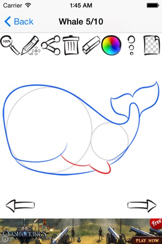 Drawing Sea Animals screenshot 2