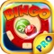 Bingo Wild PRO - Play Online Casino and Number Card Game for FREE !