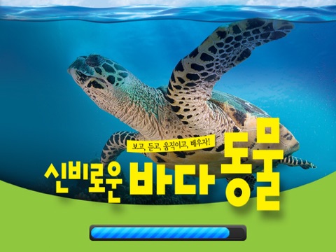 블루래빗바다 - Augmented Reality - náhled