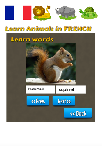 Learn Animals in French Language screenshot 2