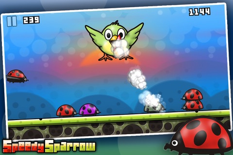 Speedy Sparrow screenshot 4