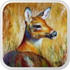 Deer Hunting Shooter