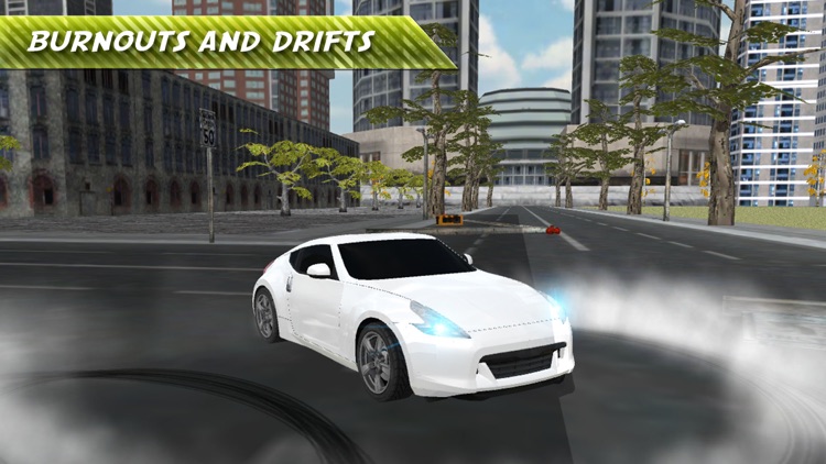 Real Fast Car Driving Simulator