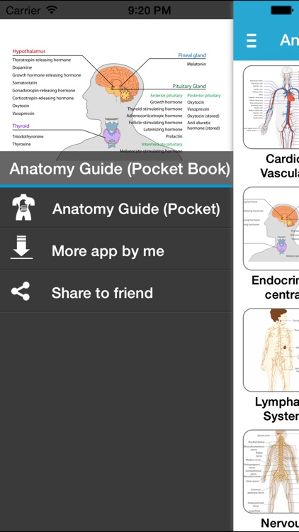 Anatomy Guide (Pocket Book)