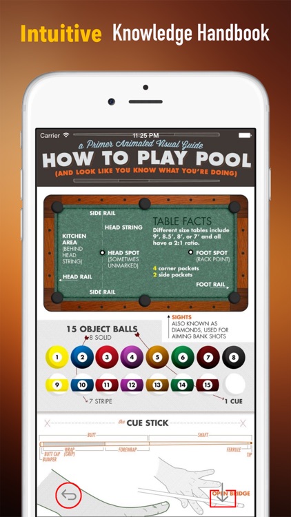 Billiards 101: Quick Learning Reference with Video Lessons and Glossary