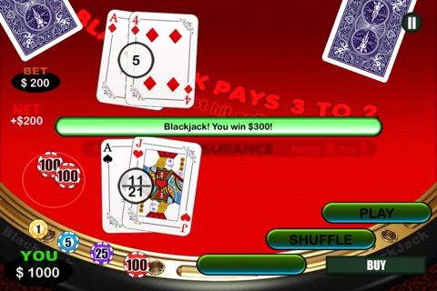 Aqua Casino Big Time Blackjack Pro screenshot 2