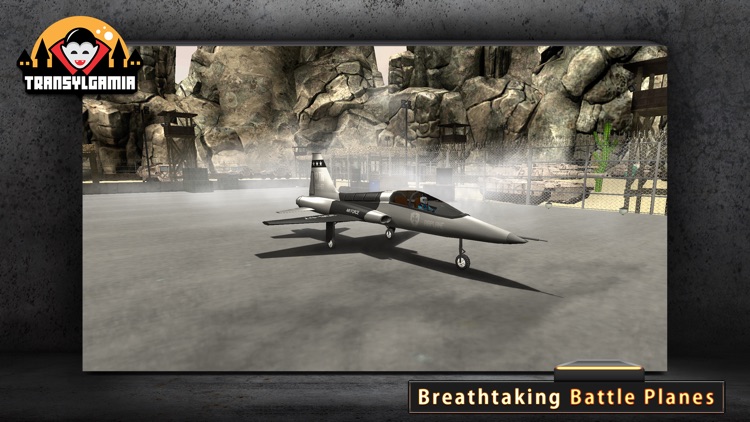 Army Plane 3D Flight Simulator screenshot-3