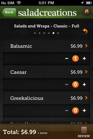 Salad Creations screenshot 4