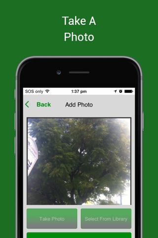 Beaver Tree App screenshot 4