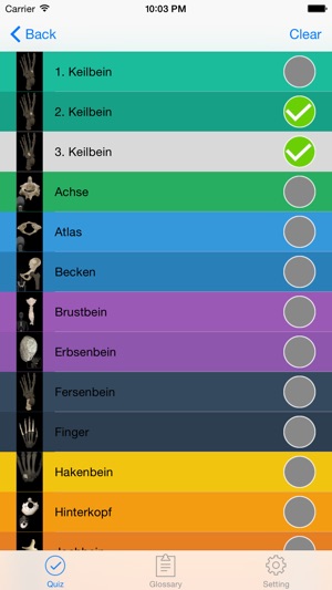 Anatomie Quiz & Glossar(圖2)-速報App