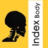 IB Head Neck - 3D Detailed Anatomy