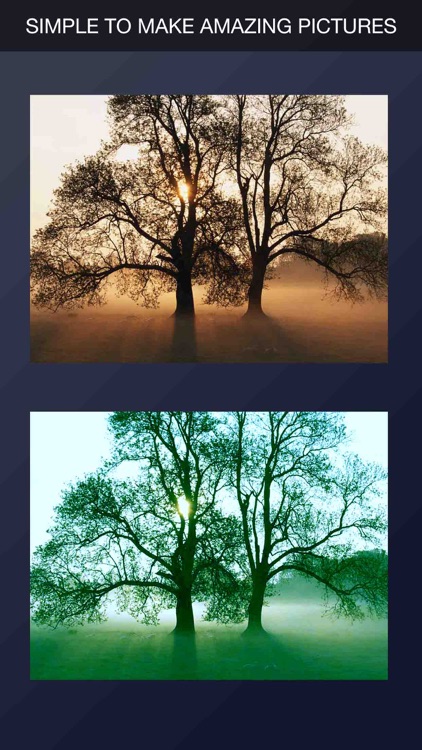 Photo Eraser, Inpaint: remove unwanted objects