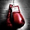 Boxing Guide is the complete video guide for you to learn boxing