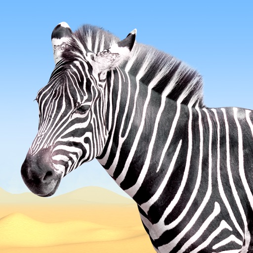 3D动物园-儿童早教双语三维认识动物 icon