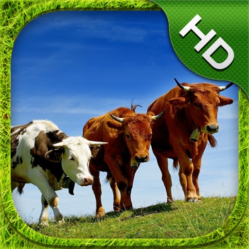 Cow Simulator - HD iOS App