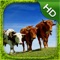 Cow Simulator - HD