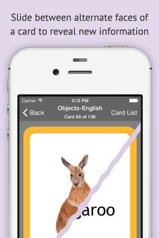 ChitChat SLP Cards - Starter Set screenshot 2