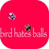 Bird Hates Balls