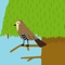 Colorful and lovely application to teach your children about forest animals