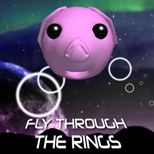 Fly Through The Rings