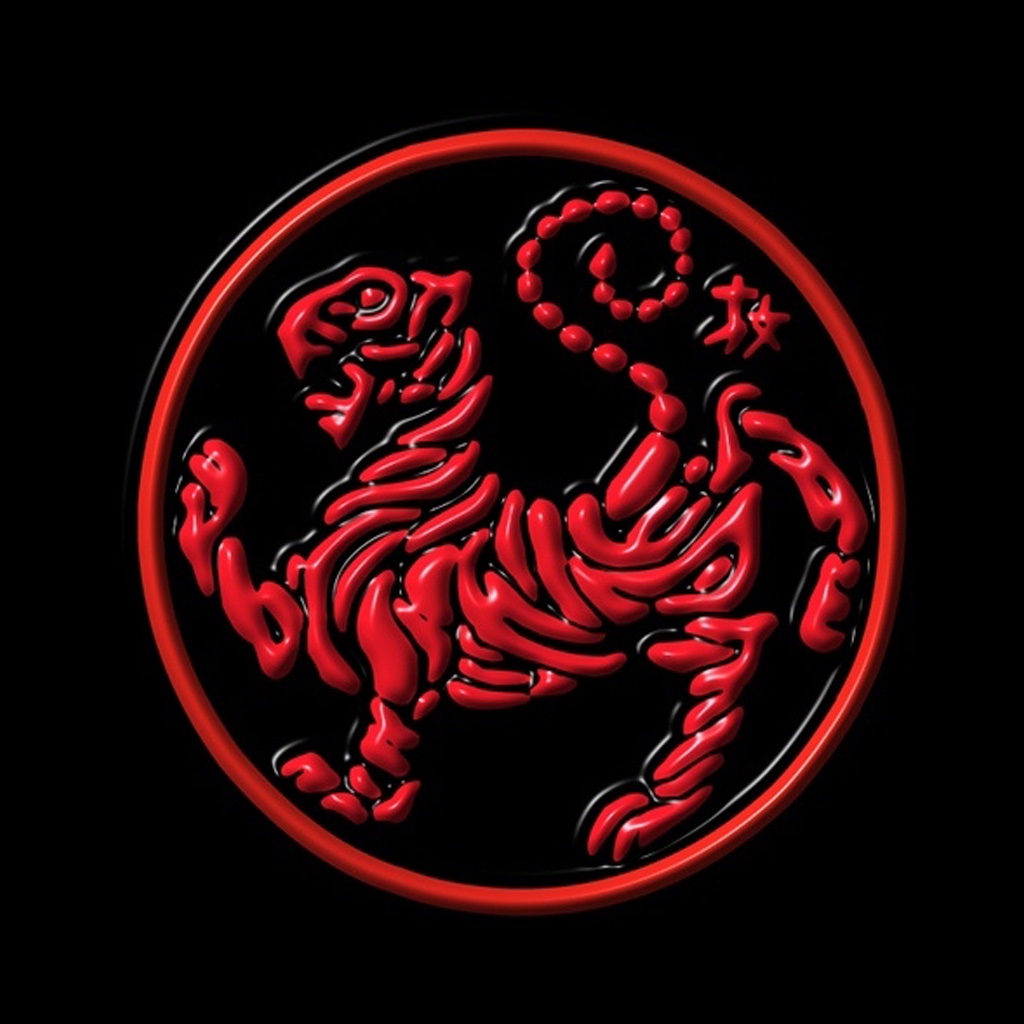 Iveys Shotokan Karate icon