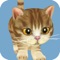 Dancing Cat Simulator is an app for kids where they raise a cute little kitten to compete with the top show cats in a runway show