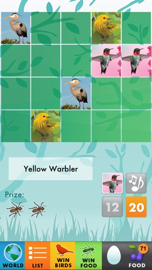 My Bird World Lite(圖4)-速報App