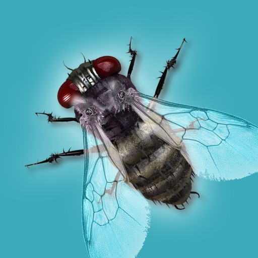 Killer fly ninja - alien invaders iOS App
