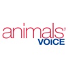 Animal's Voice