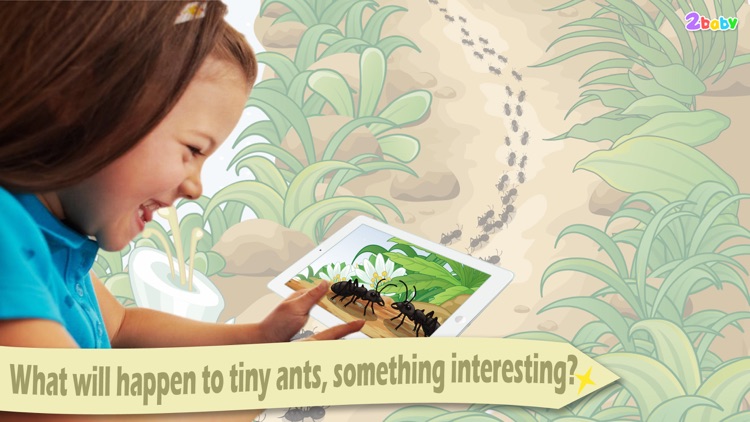 Ant - InsectWorld  A story book about insects for children