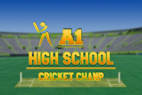 A1 High School Cricket Champ Pro - cool star batsman sports cup screenshot 4