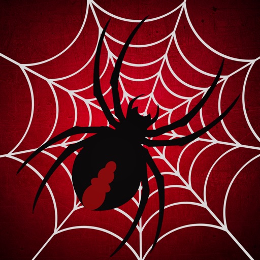 Amazing Sliding Spider Puzzle icon