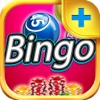 Color Balls PLUS - Play Online Bingo and Lottery Card Game for FREE !