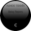 AUNDE Teknik Sales Reports