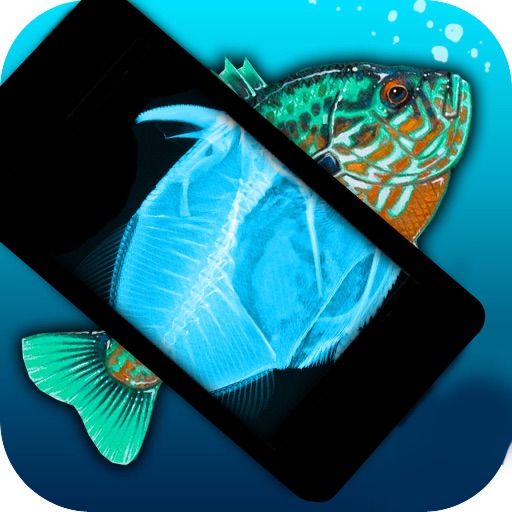 Simulator X-Ray Fish Icon