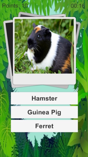 Animal Quiz Kids(圖2)-速報App