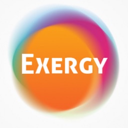 Exergy