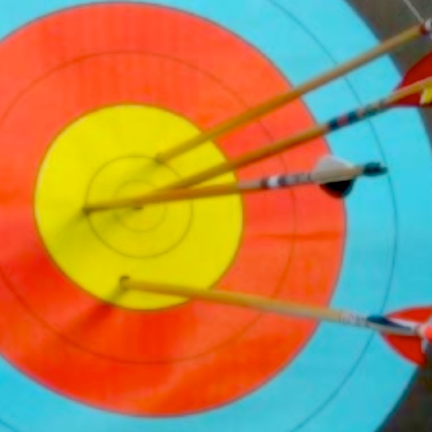 which archery software