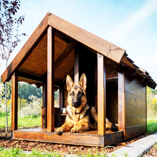 How To Build A Dog Kennel icon