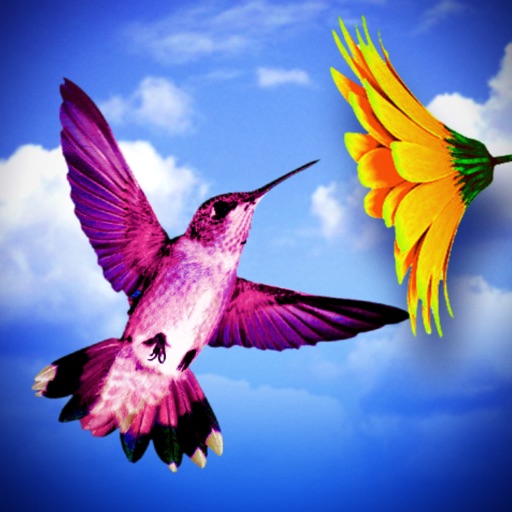Humming Birds - Collect the flowers icon