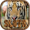 Lucky Wild Tiger Slots Machine - FREE Gambling World Series Tournament