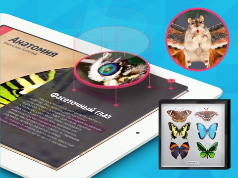 Бабочки HD. Фото, видео, 3d-модели, факты и коллекция screenshot 2
