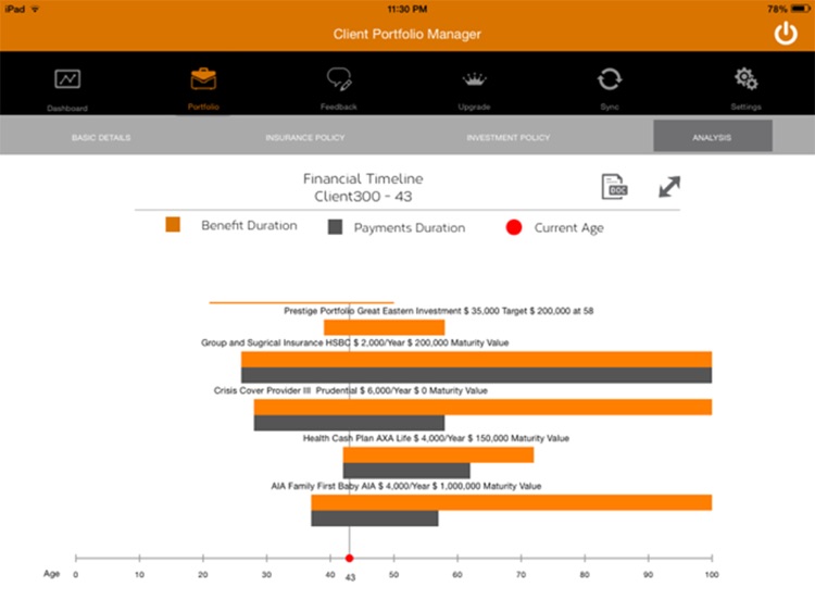 Client Portfolio Manager