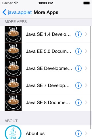 Java SE 16 API Specification screenshot 3